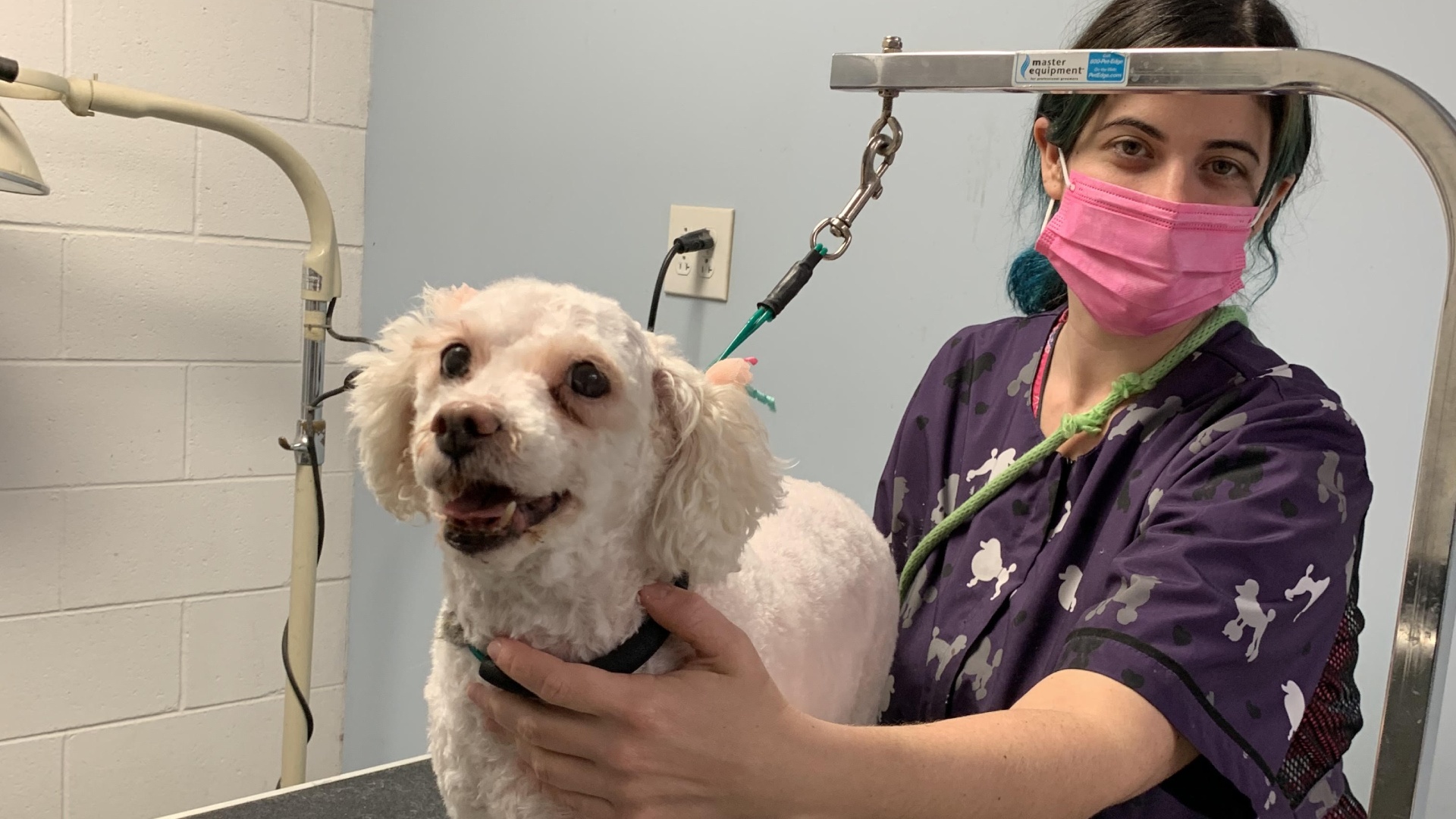 Grooming Consent Form | Farmer's Veterinary Hospital