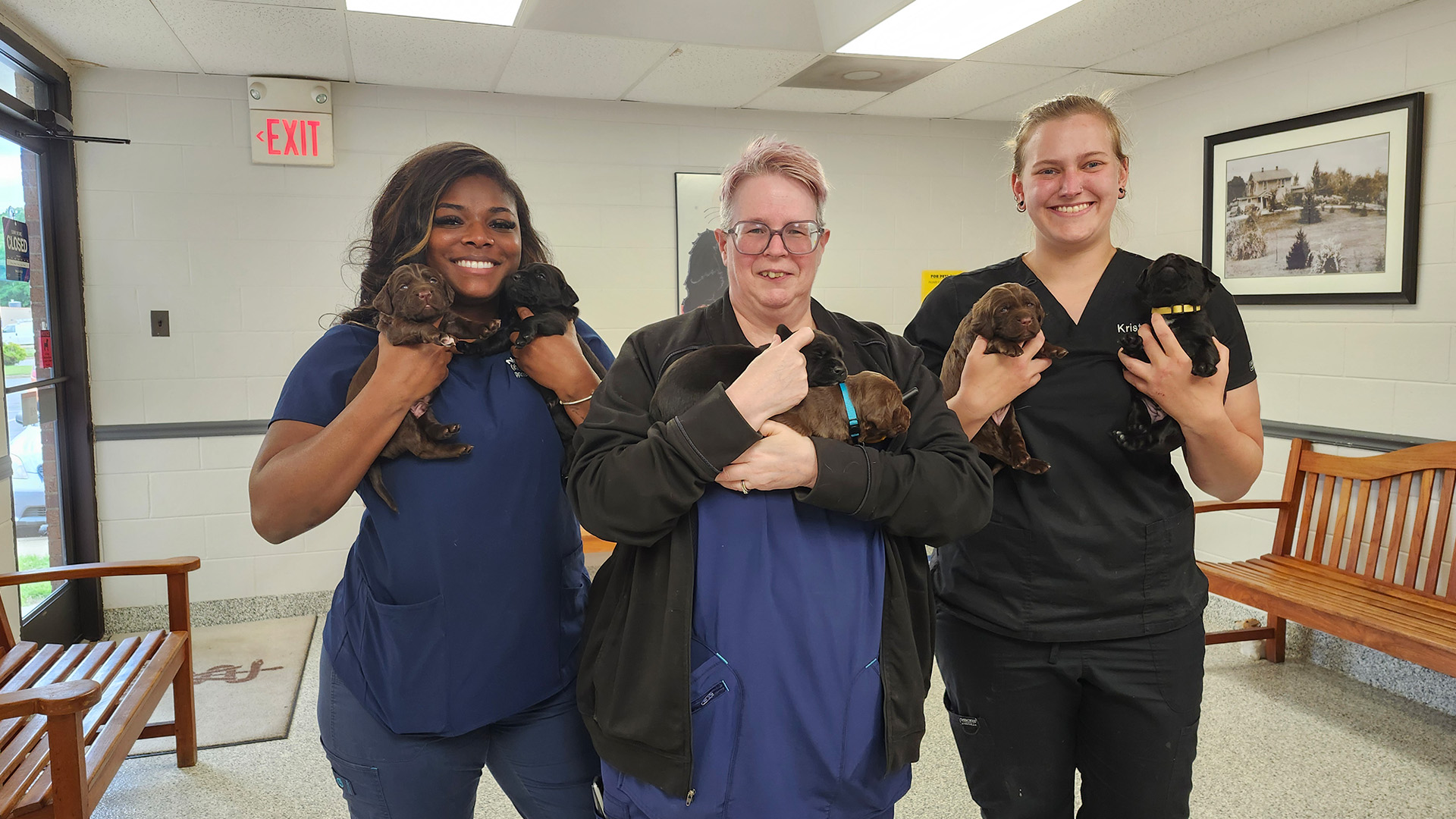 Veterinarian In Richmond, VA Farmer's Veterinary Hospital